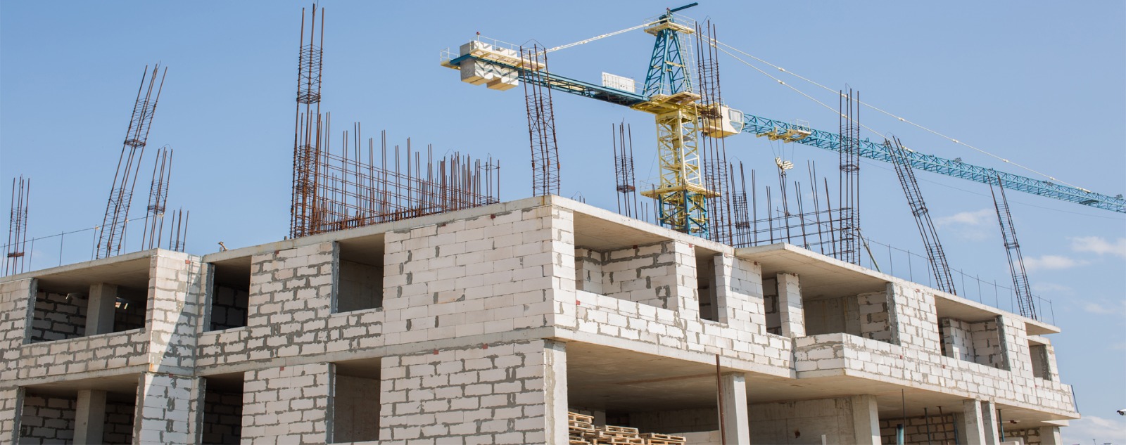 WhatsApp Image 2026-03-13 at 4.18.38 PM (1)